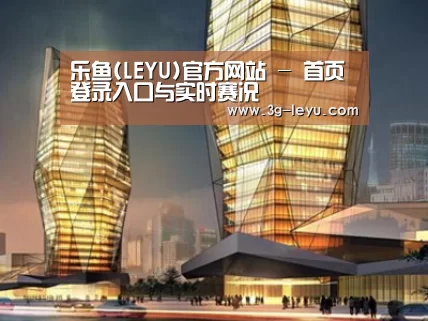 案例展示三